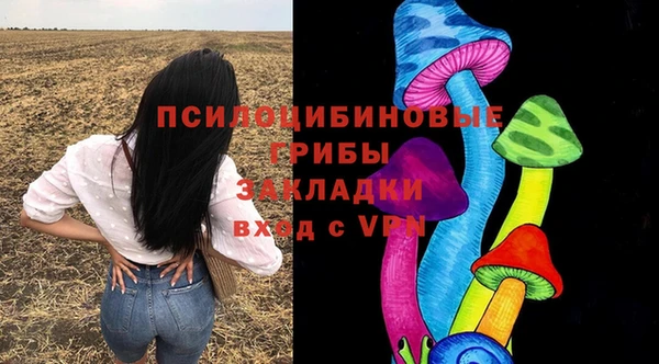 стаф Вязники