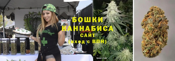 стаф Вязники